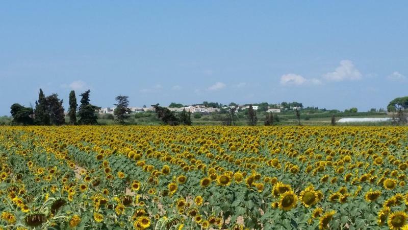 Villa Manet Portiragnes Dış mekan fotoğraf